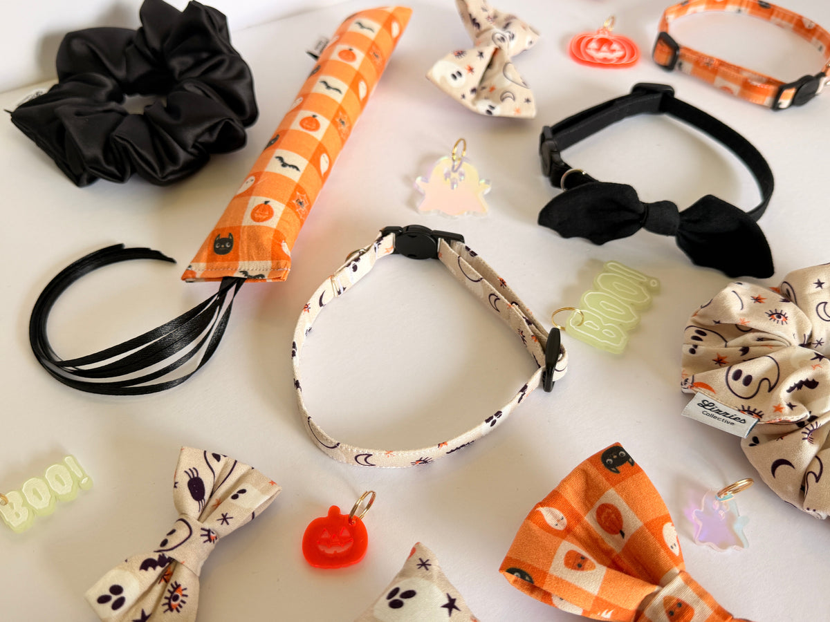 Halloween Collectie