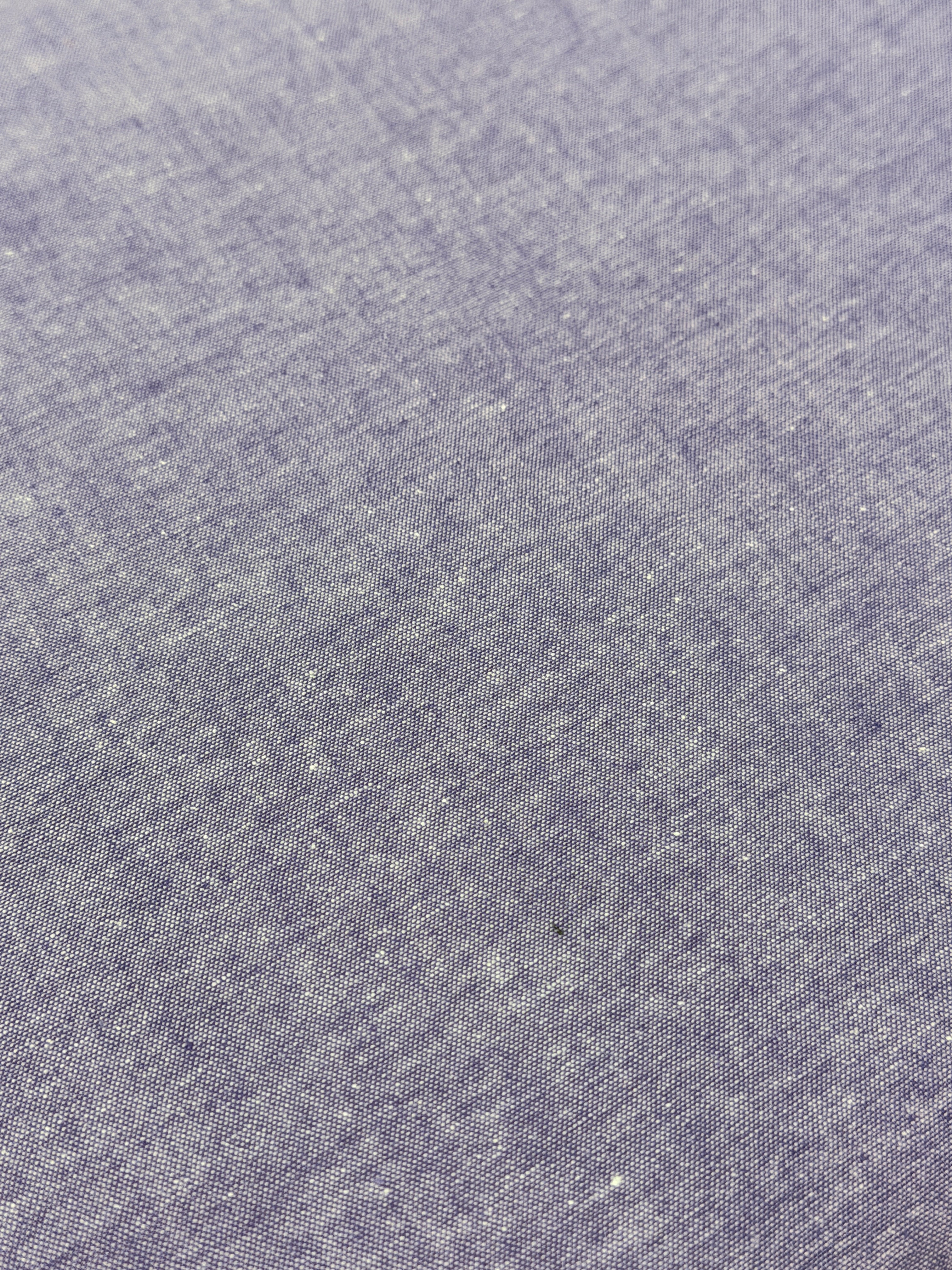 Kattenhalsbandje - Jeans