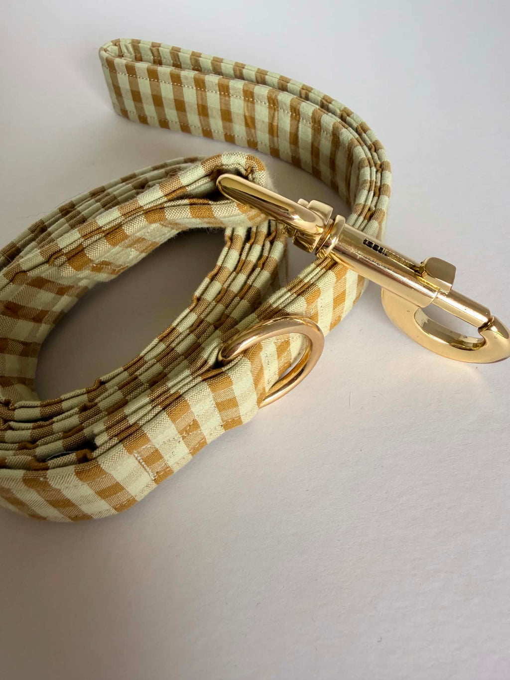Hond - Halsband - Ollie Medium