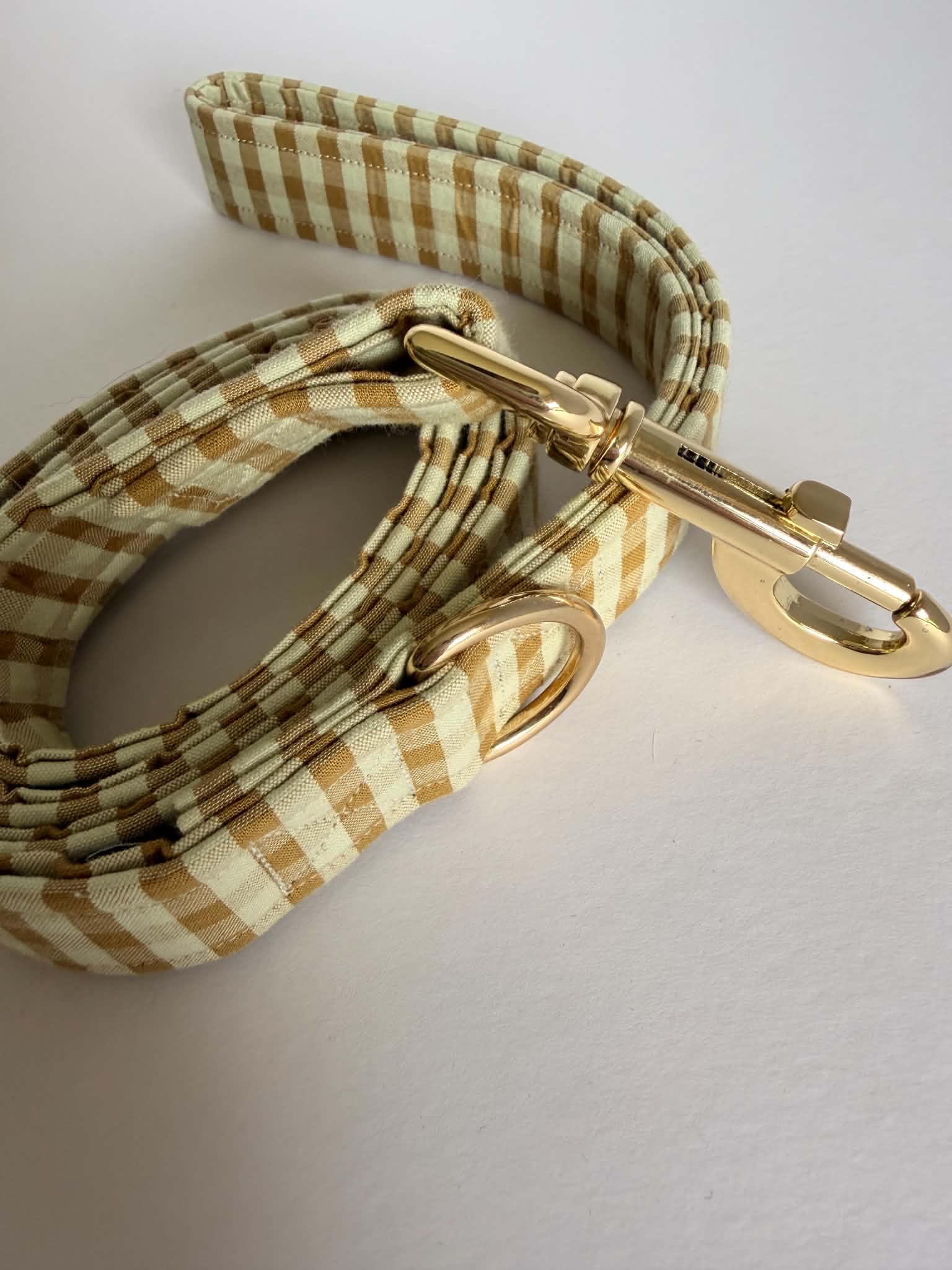 Hond - Halsband - Ollie Medium