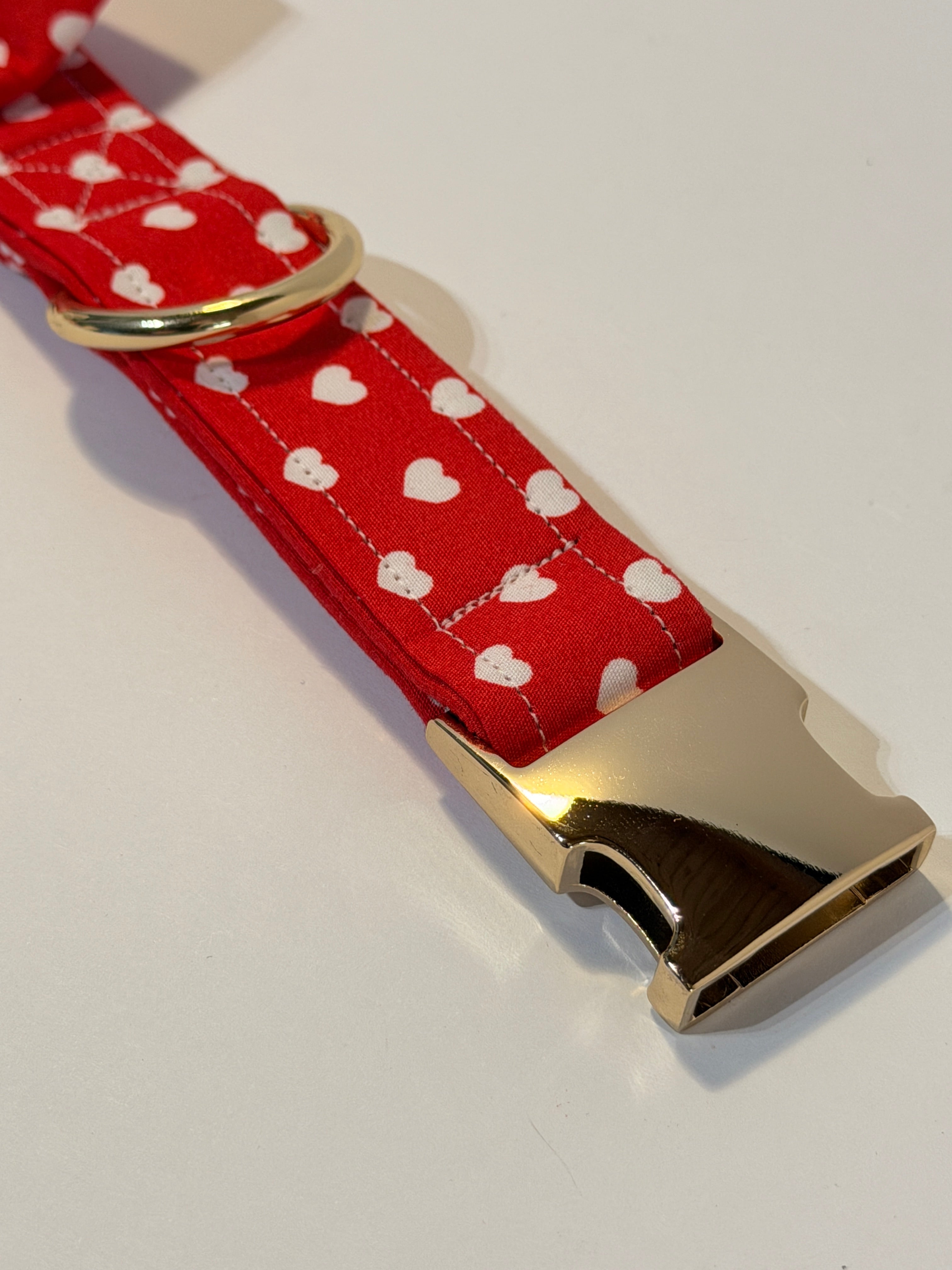 Hondenhalsband - Romeo